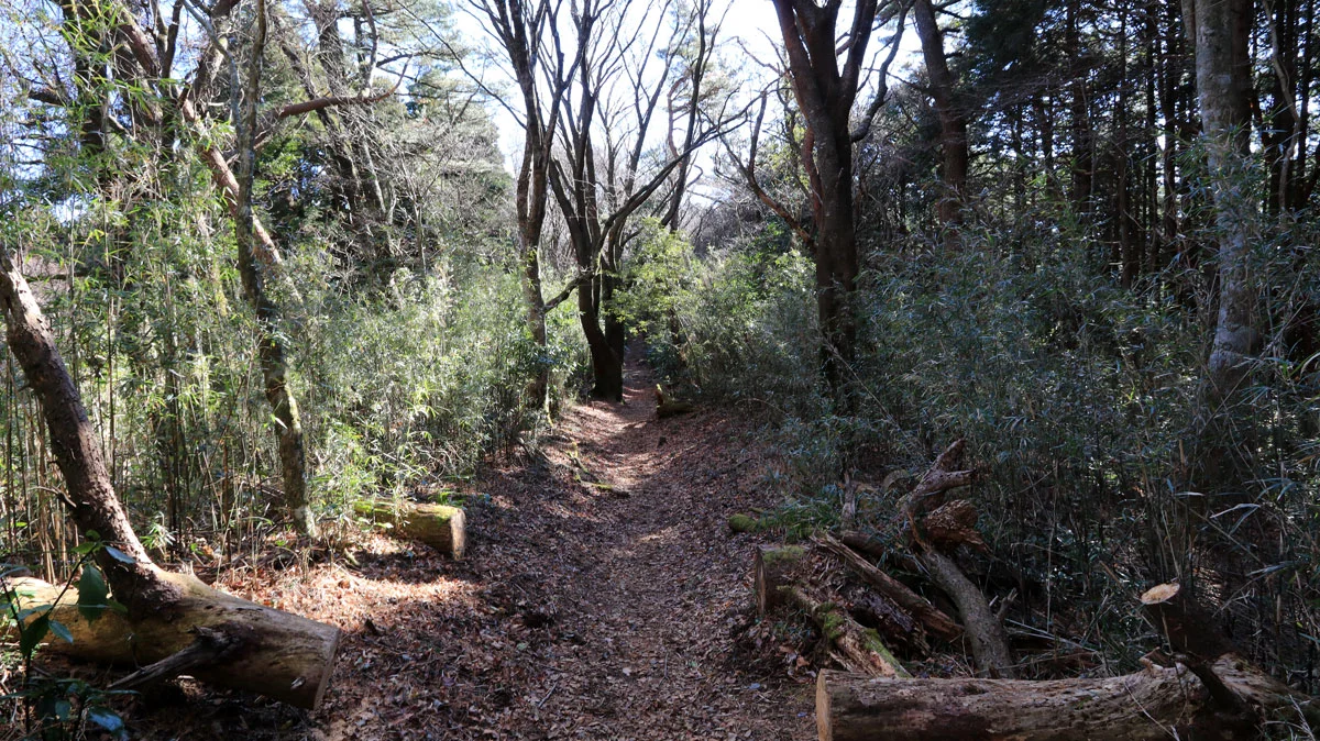浅間山の山頂直前の道