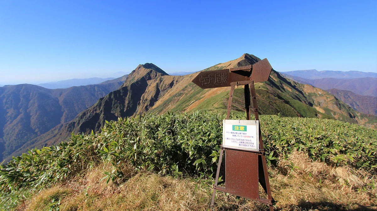 中ゴー尾根との合流地点
