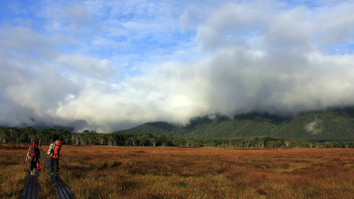 山にかかる朝靄