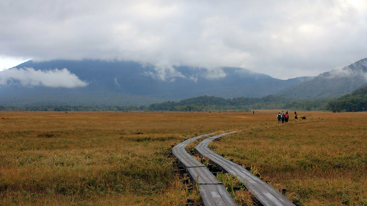 多数のハイカー
