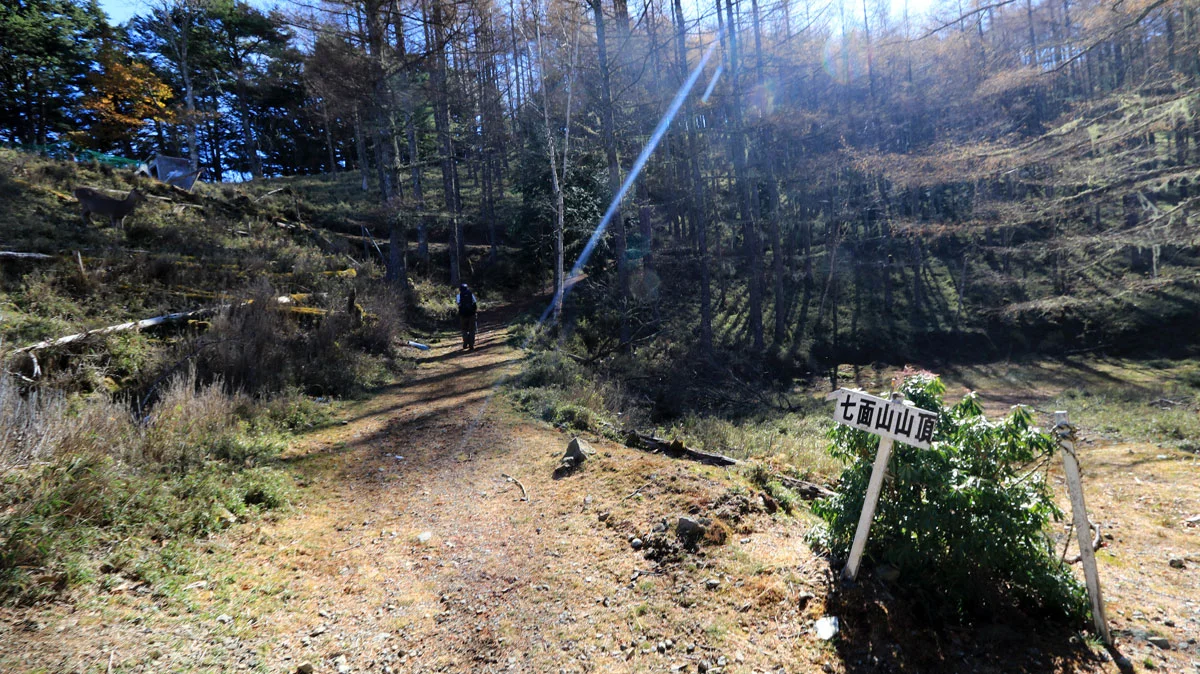 七面山の山頂への道