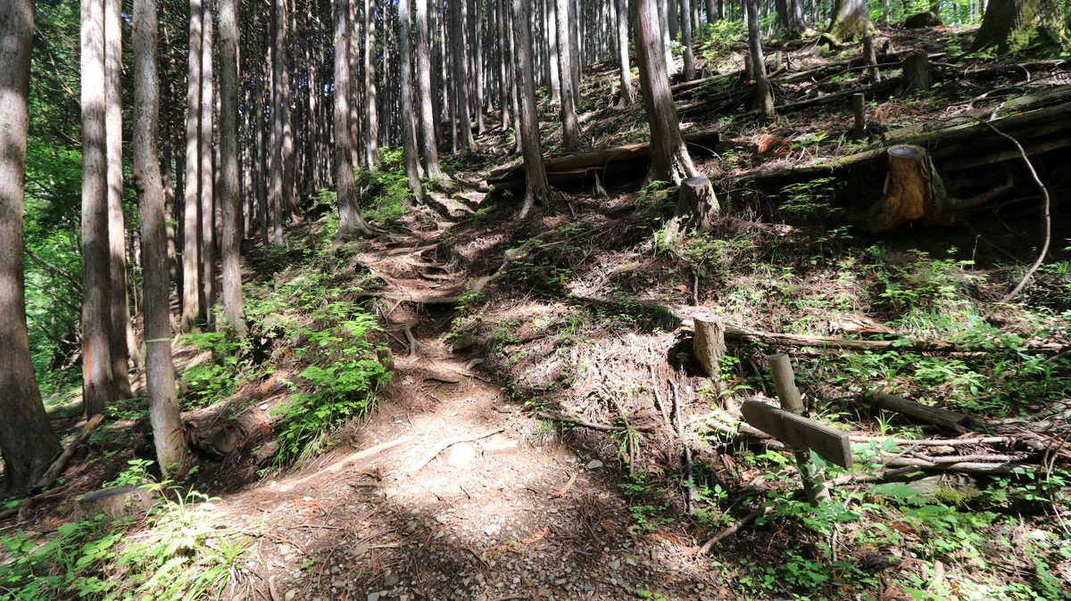 蕎麦粒山登山口