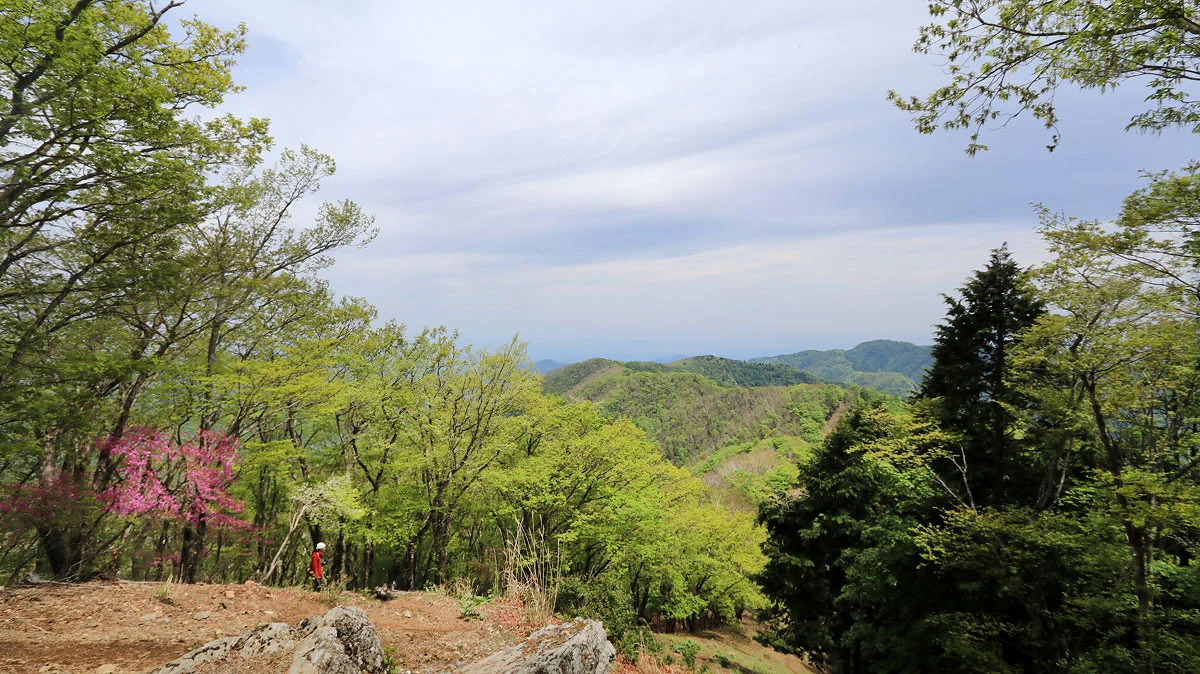 蕎麦粒山から東側の展望