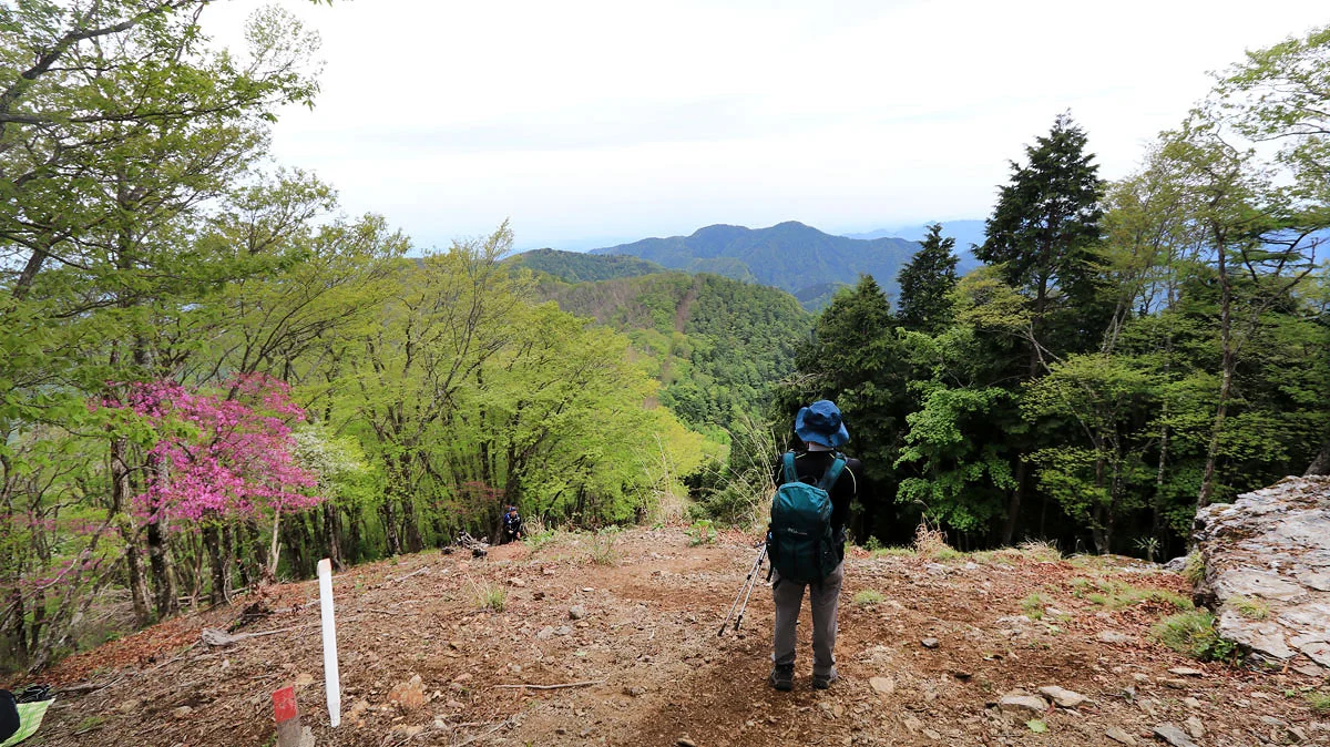 蕎麦粒山から見た川苔山