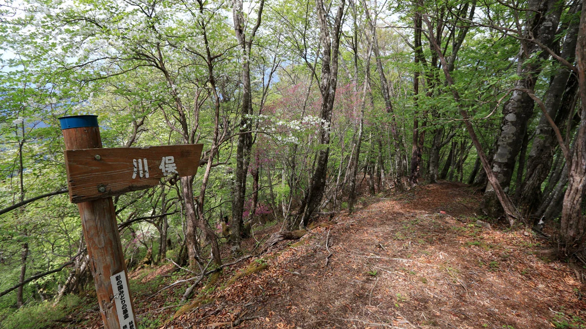 「川俣」と書かれた道標