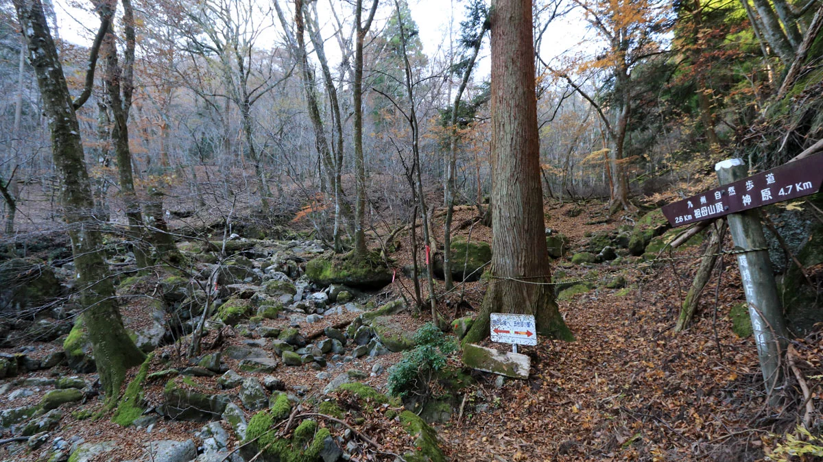 祖母山頂2.6kmの道標