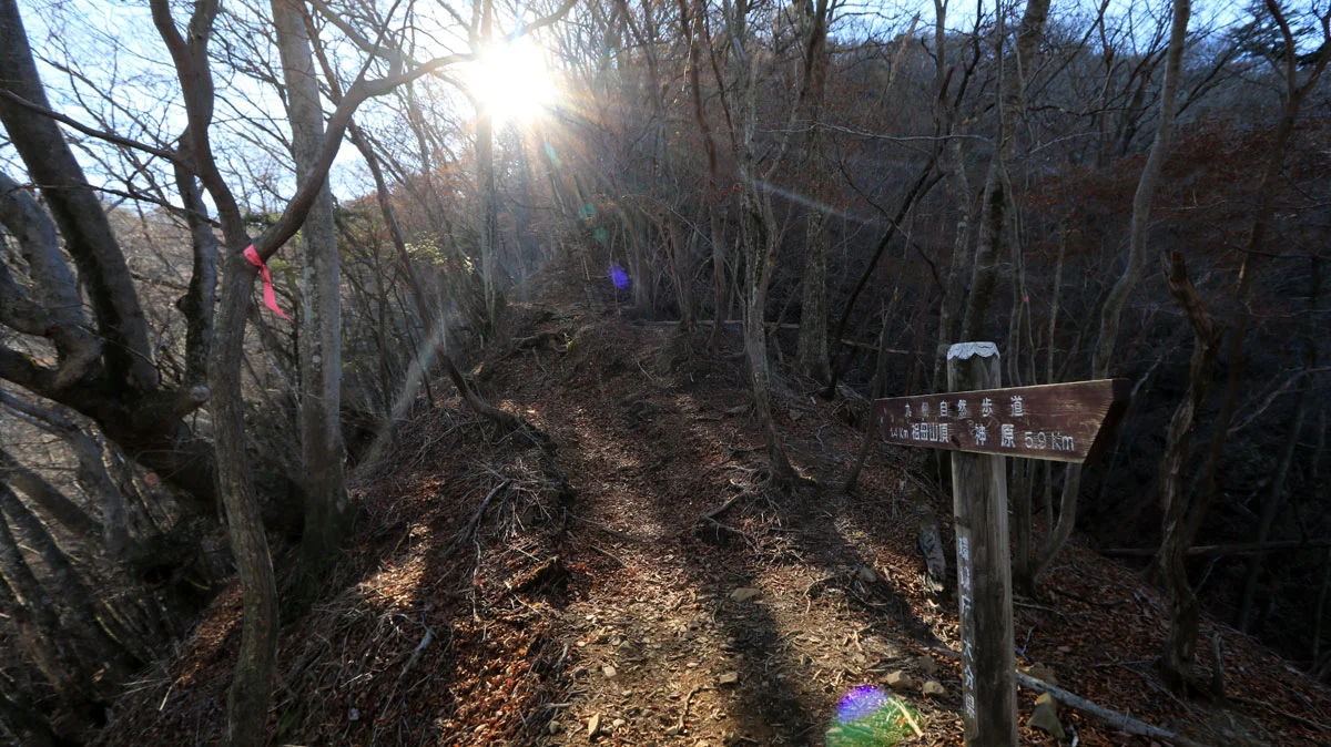 祖母山頂1.4kmの道標