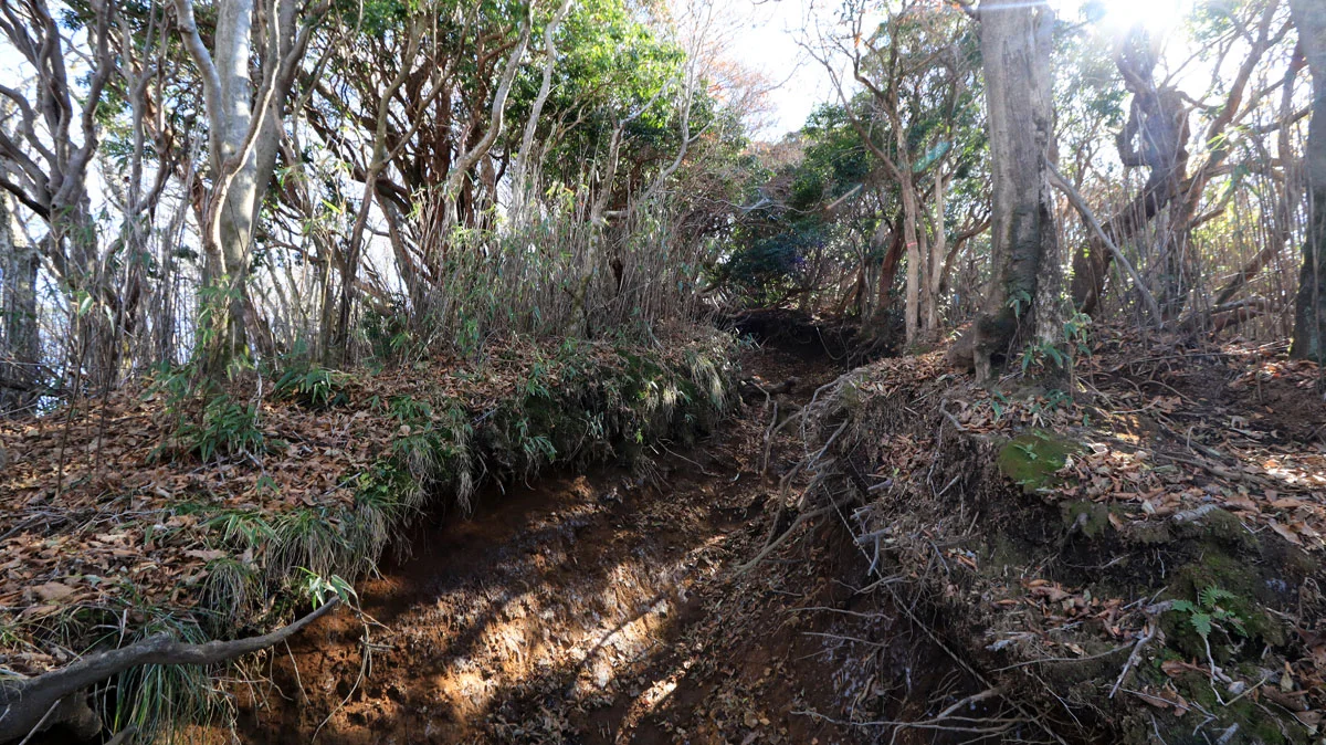 塹壕のような道