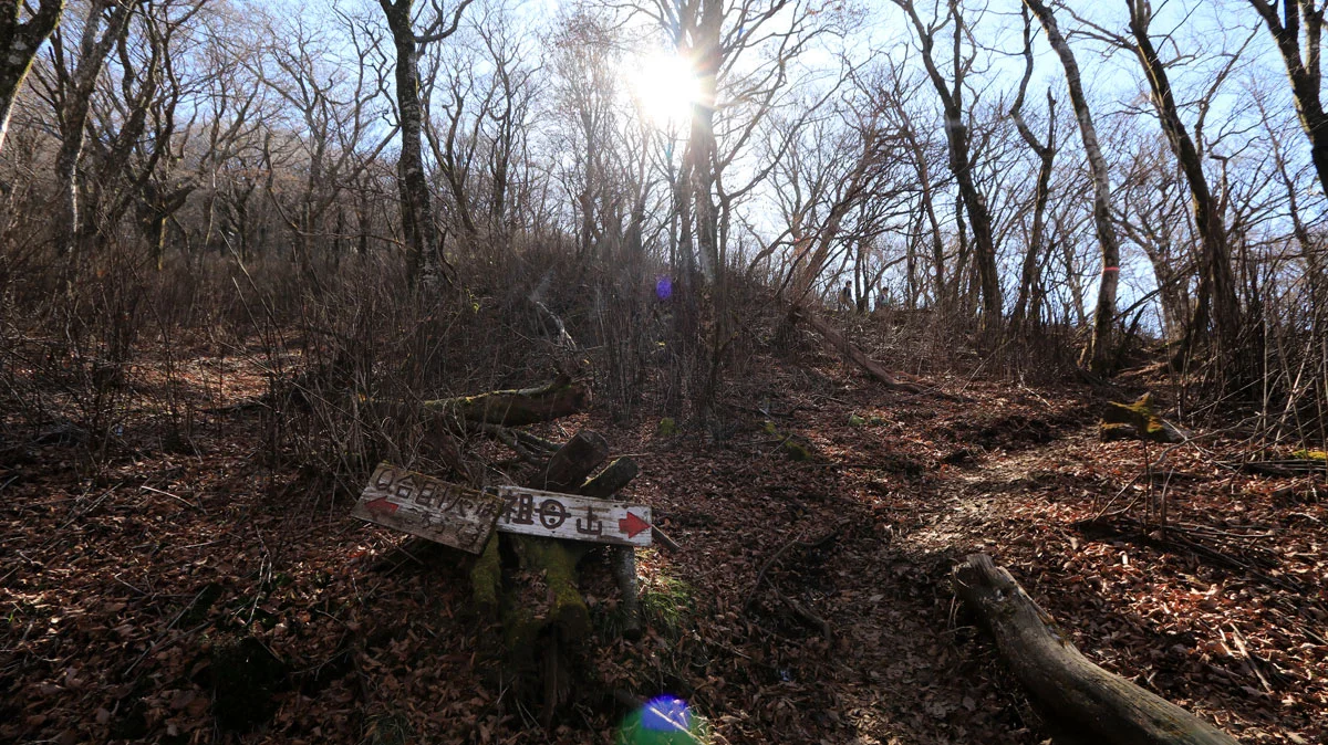 祖母山九合目小屋との分岐地点
