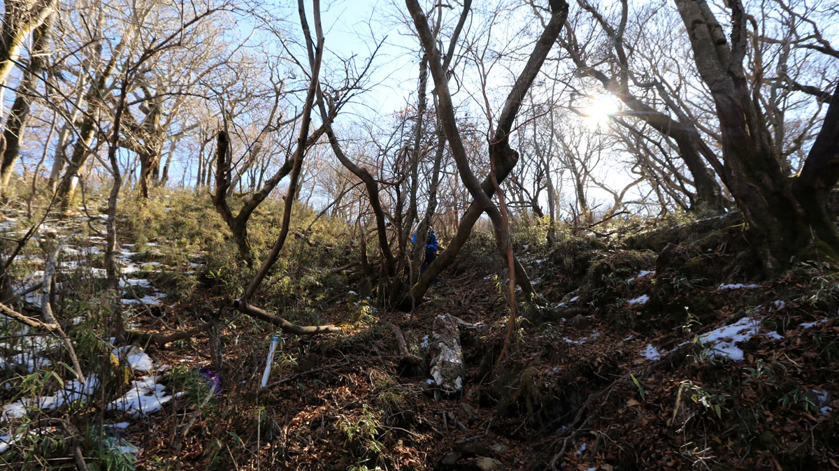 山頂直下の道