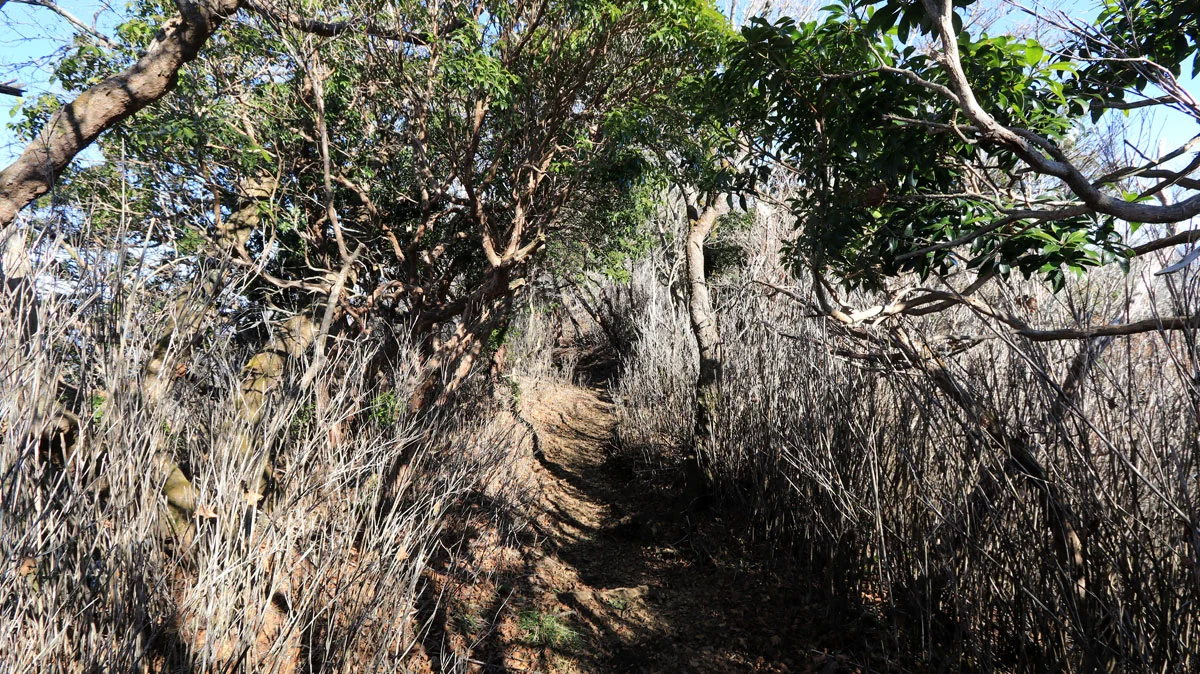 九合目小屋までの道