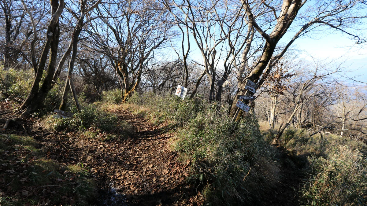 尾平登山口へ向かう宮平コースとの分岐