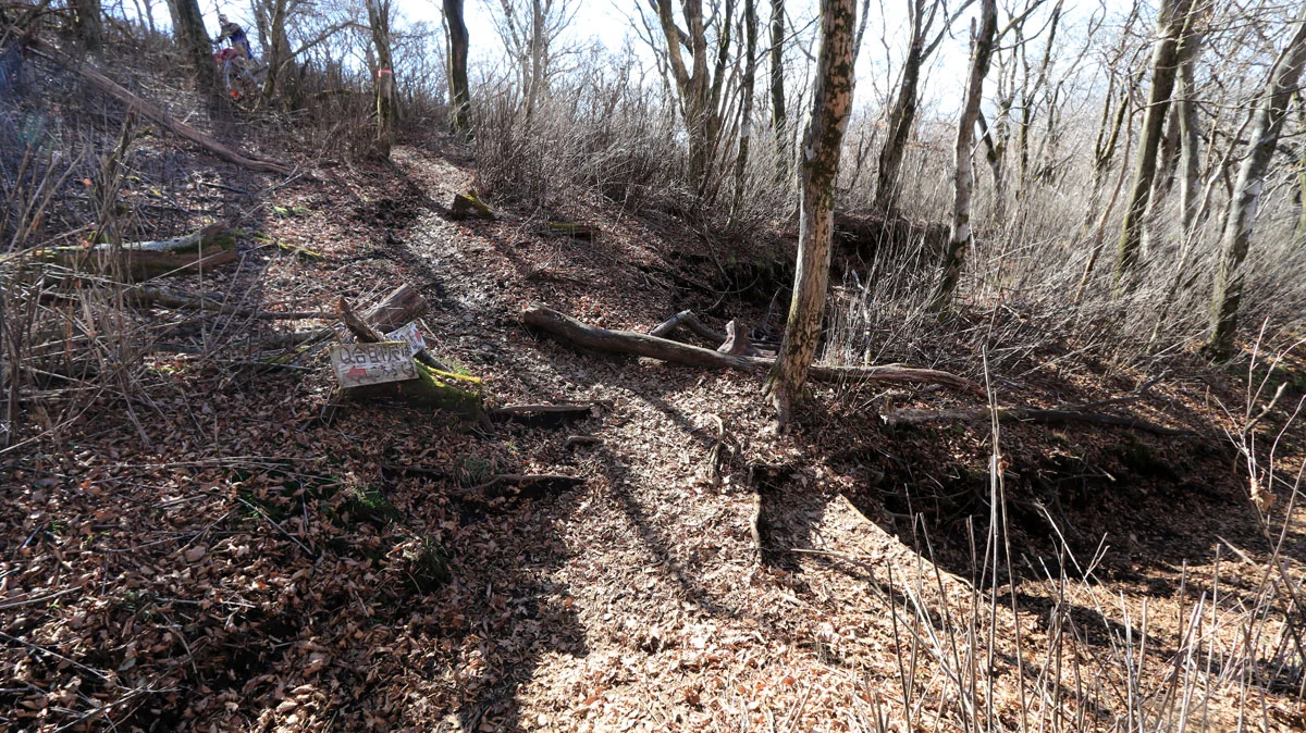 神原コースとの合流地点