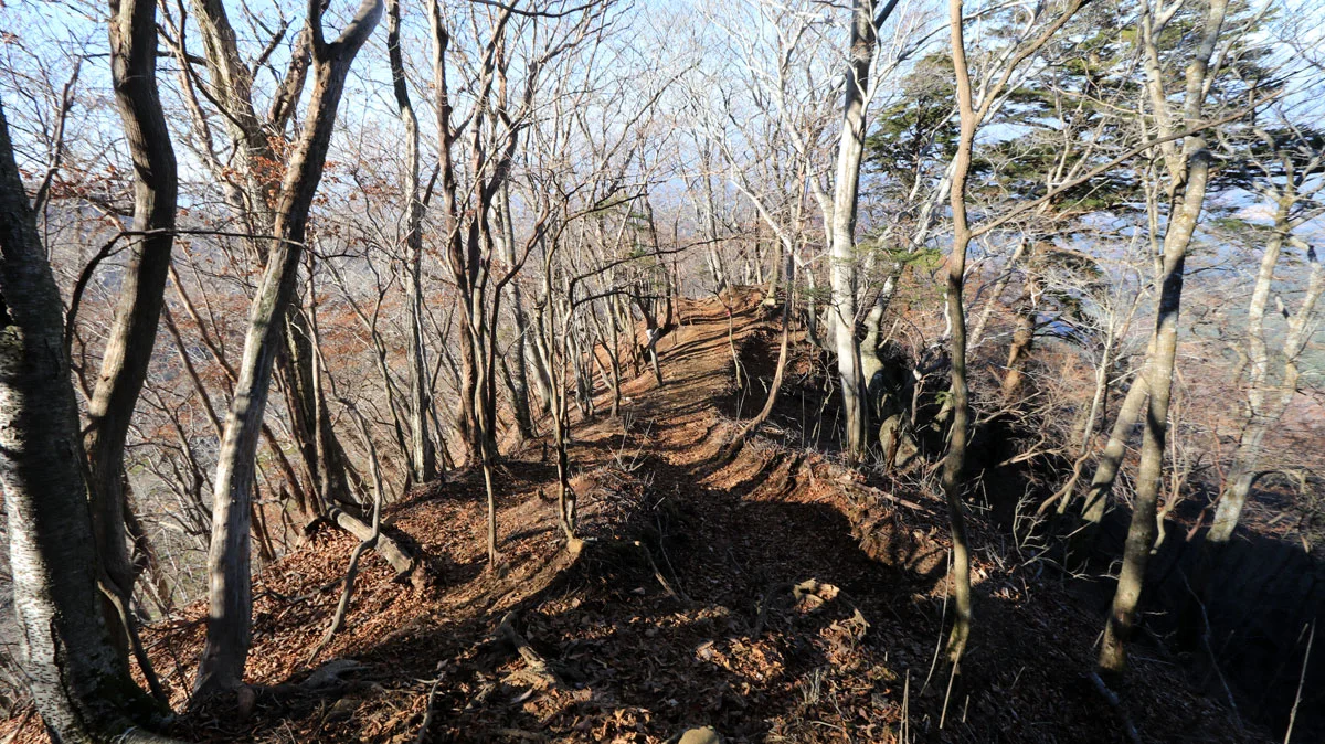 祖母山の登山道下り道ドライブイン