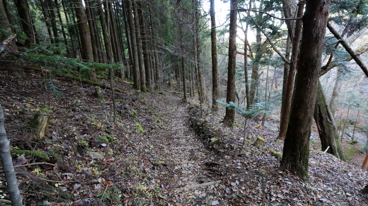 五合目小屋への1本道
