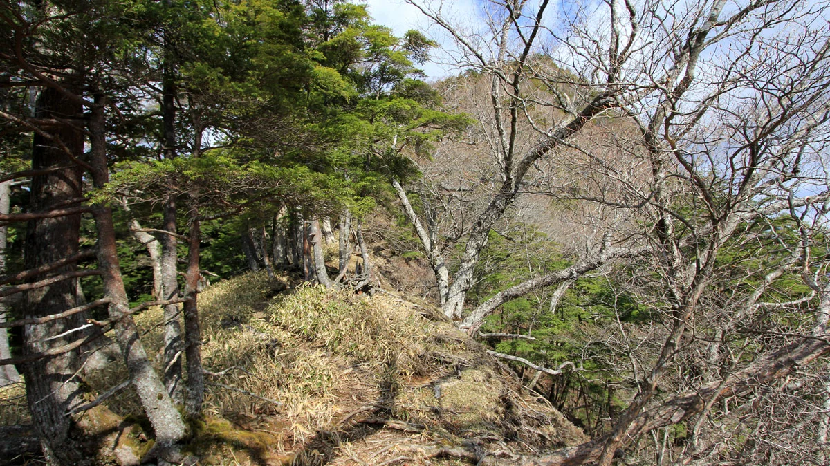 目の前に薬師岳