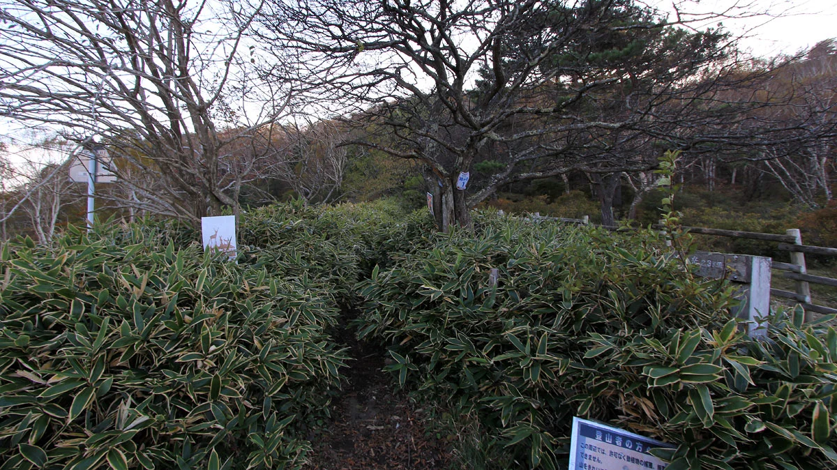 鈴ヶ岳登山口