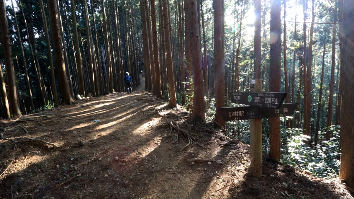 沢井駅への分岐地点