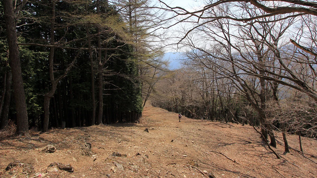 登ってくる登山者1名