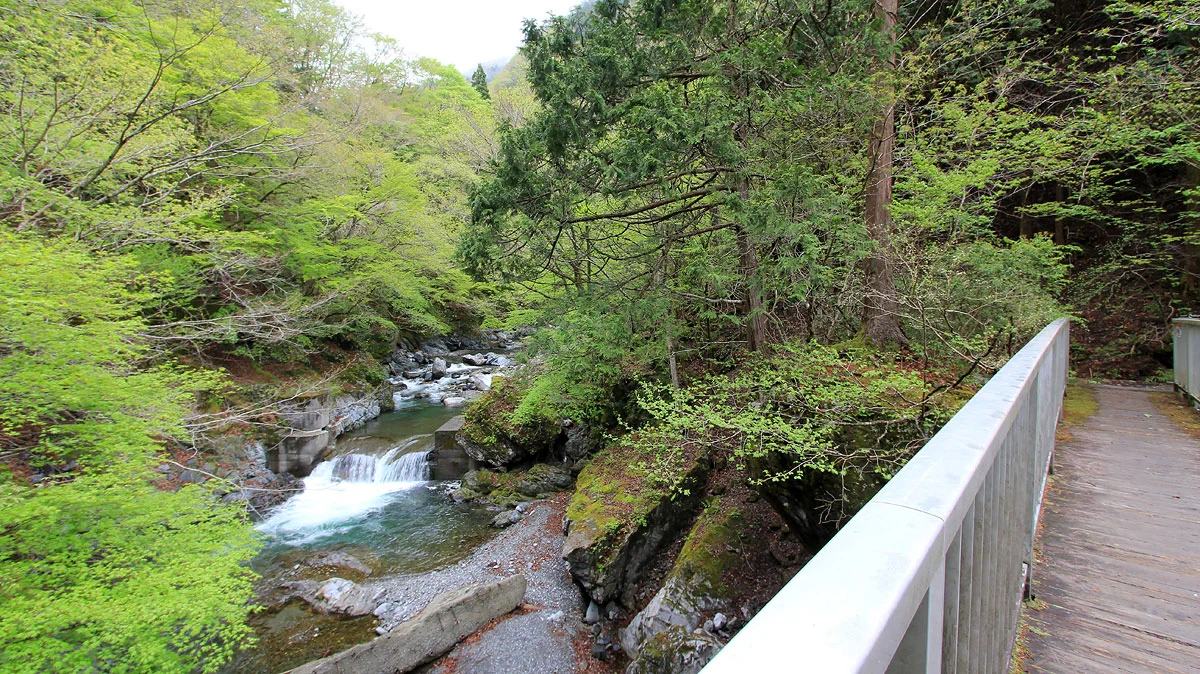 沢を渡る橋