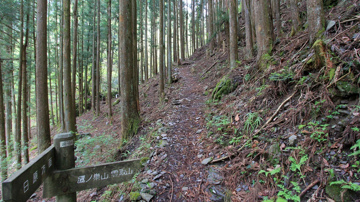稲村岩尾根登山道