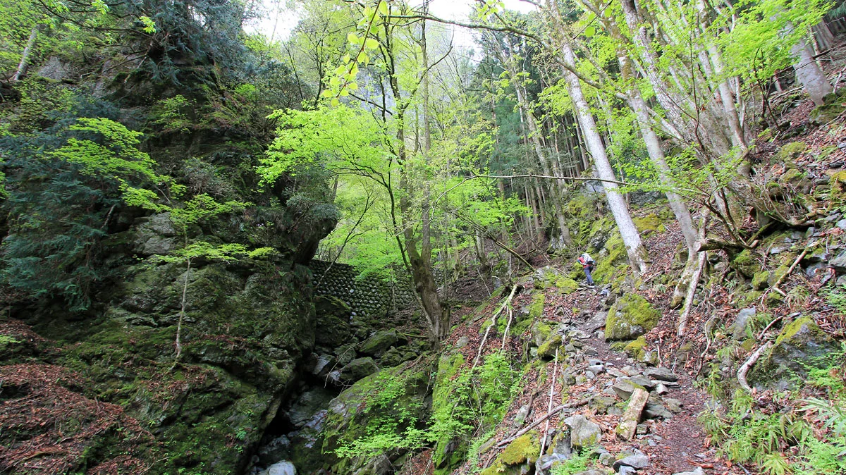 大岩の傍らの道