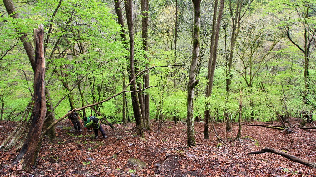 九十九折の急登