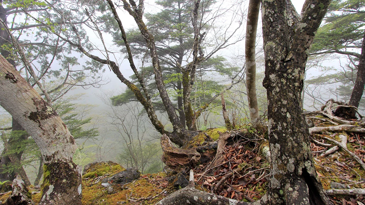 稲村岩からの風景