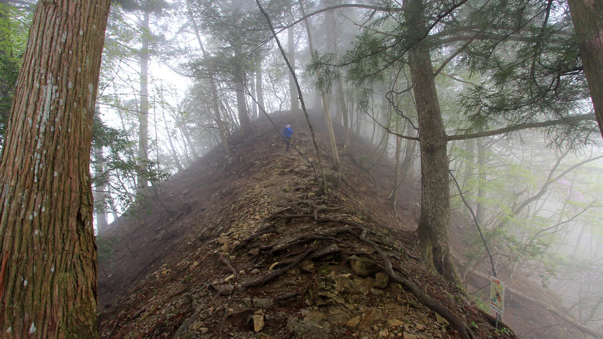 鞍部からの上り道