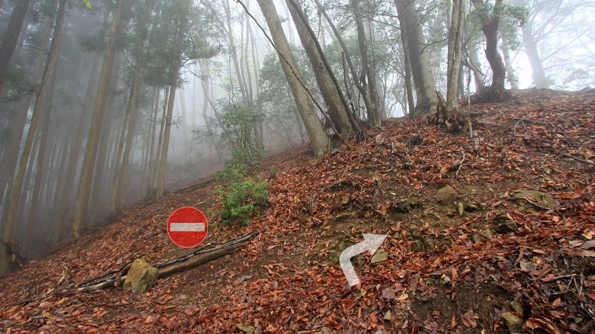 道を間違い直進してしまった場所