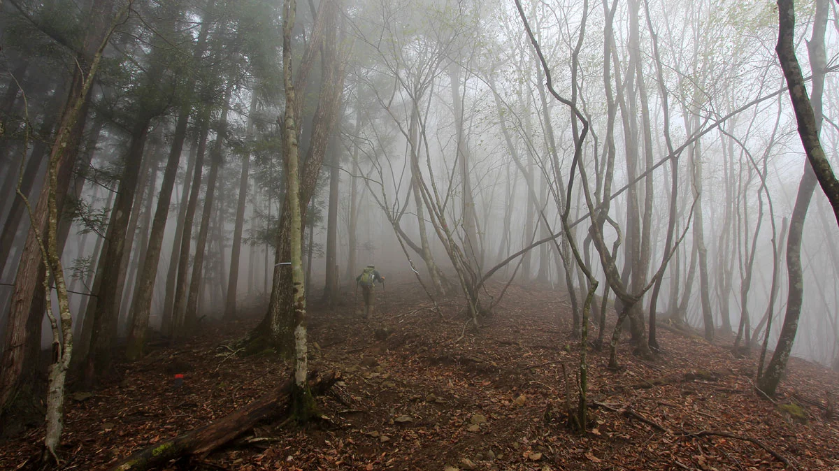 傾斜の出始めた鷹ノ巣山登山道