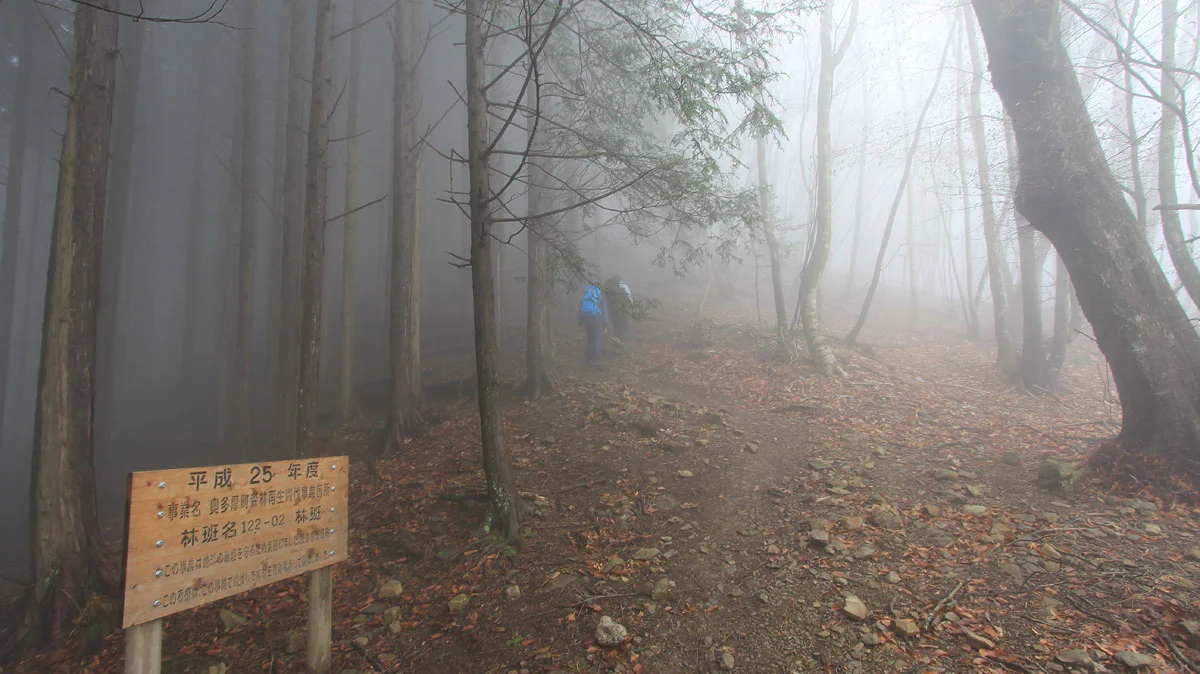 「奥多摩町森林再生間伐事業箇所」と書かれた案内板