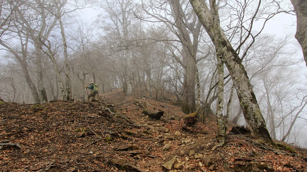 鷹ノ巣山の山頂