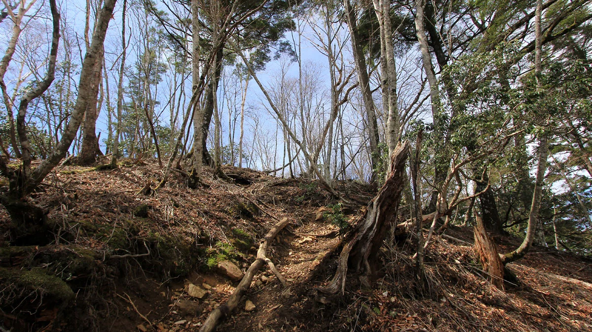 景色が開ける予感の鷹ノ巣山登山道