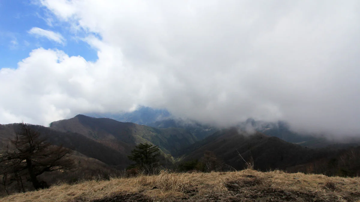 鷹ノ巣山山頂からの展望