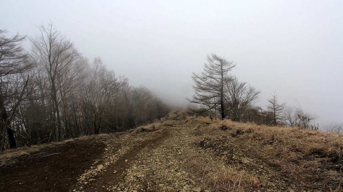 鷹ノ巣山登山道