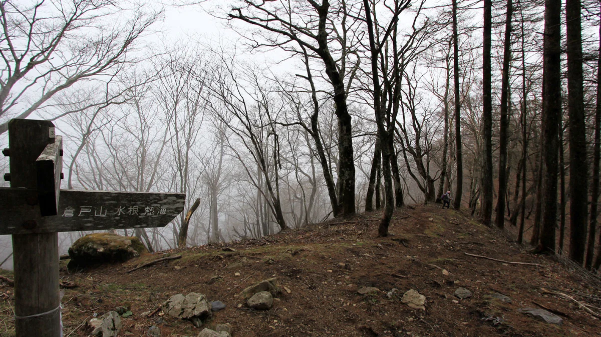 榧ノ木尾根の分岐地点