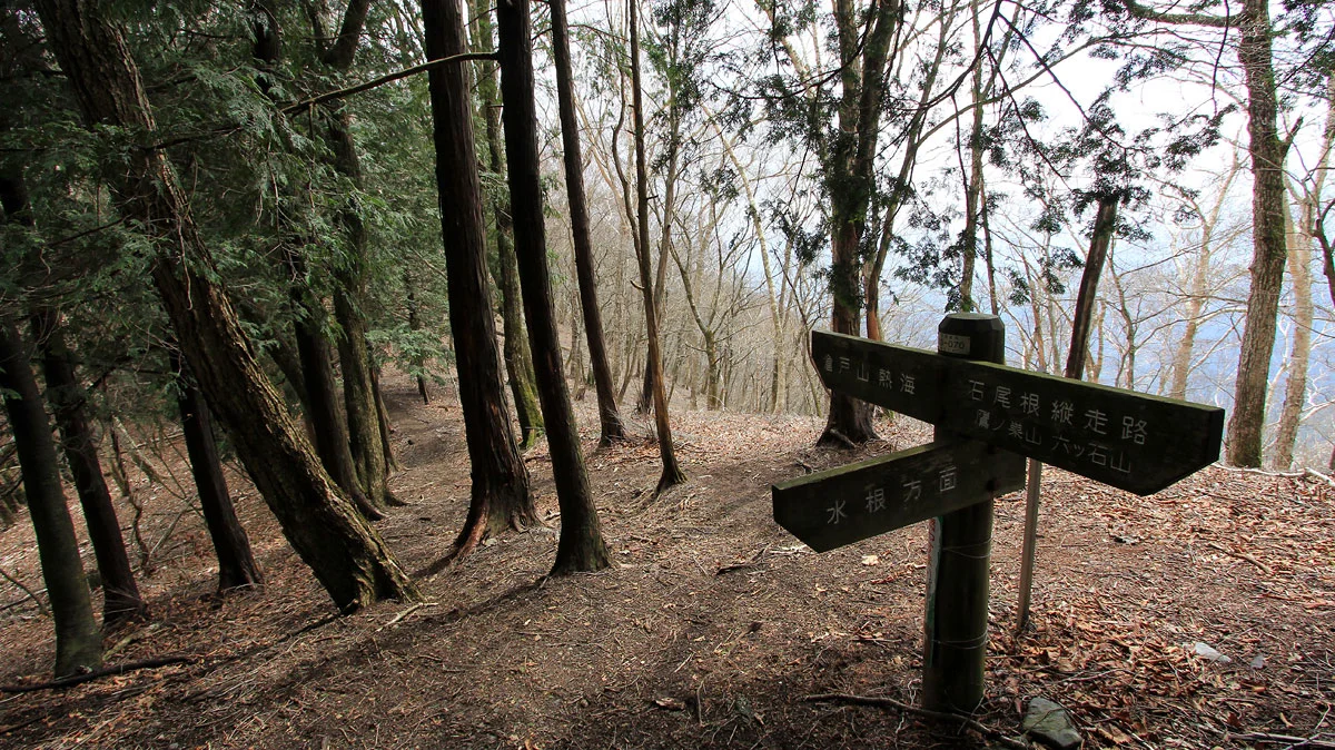 水根沢林道との分岐地点