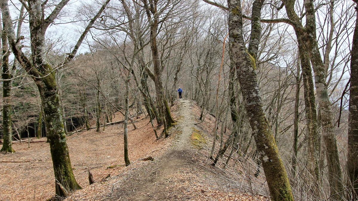 榧ノ木山