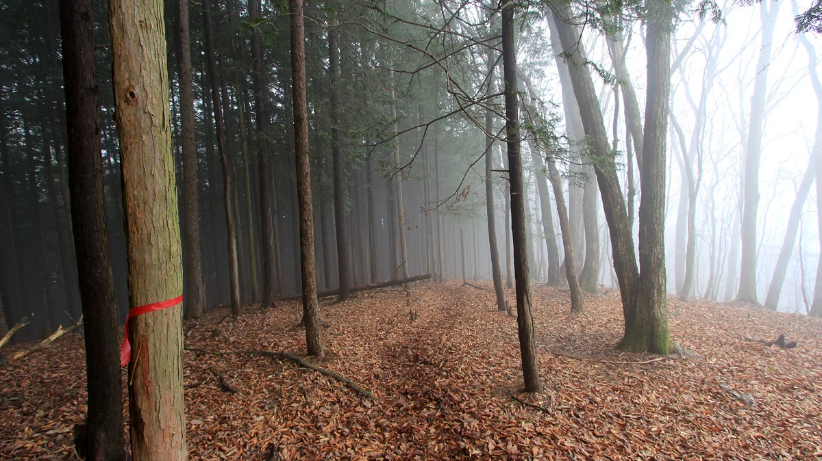 霧が深い登山道