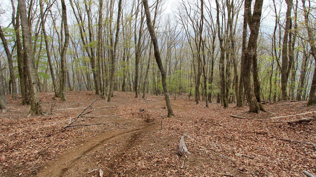 ロードバイクの轍跡