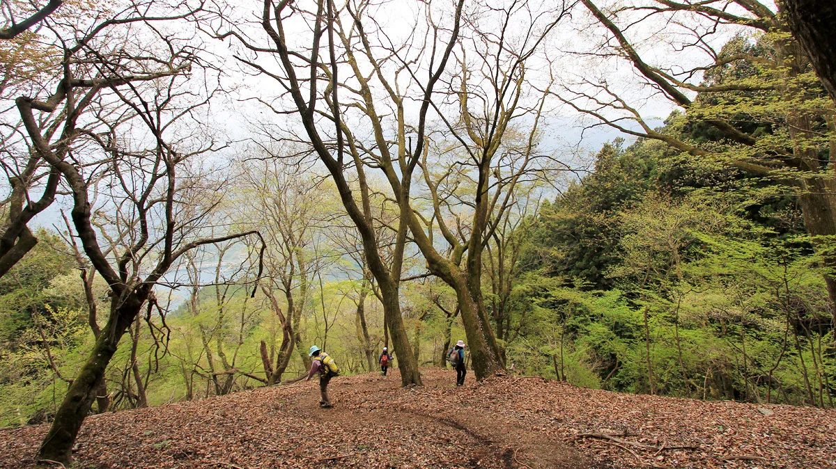 倉戸山登山道から見える奥多摩湖