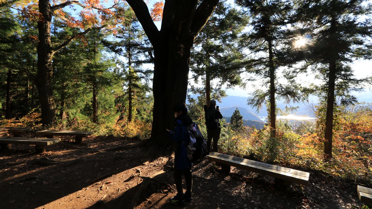 登山道から見える相模湖