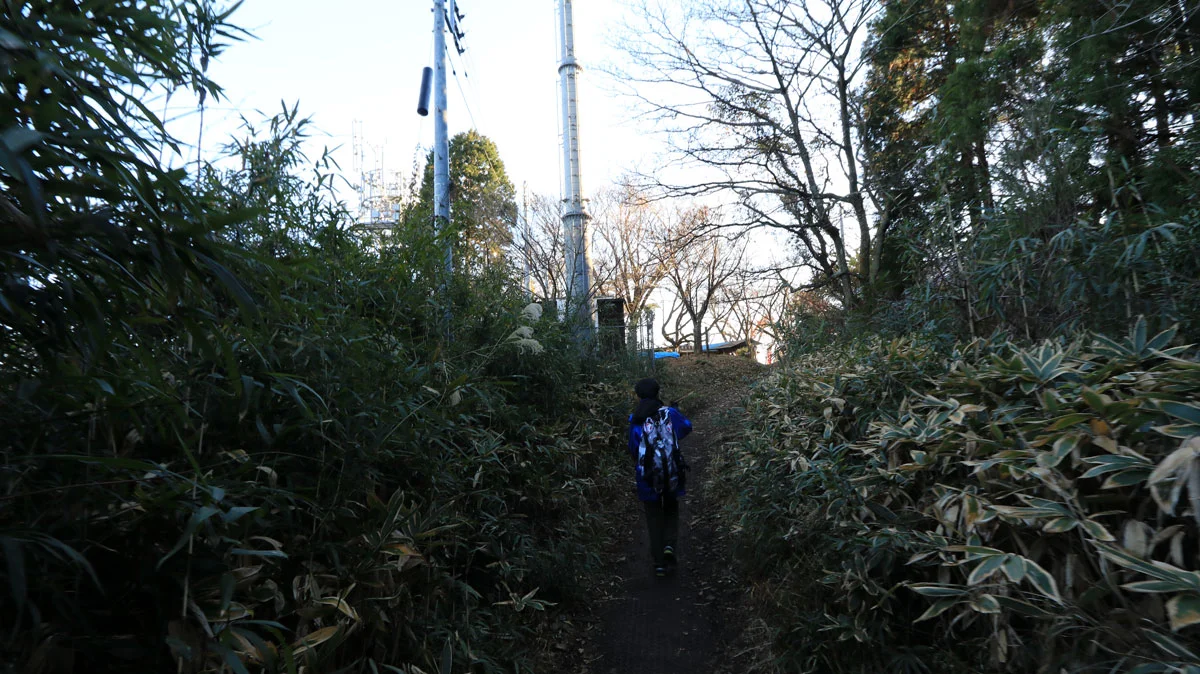 城山の山頂手前