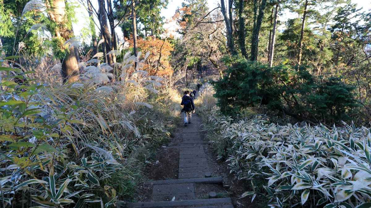 小仏城山からの下り道
