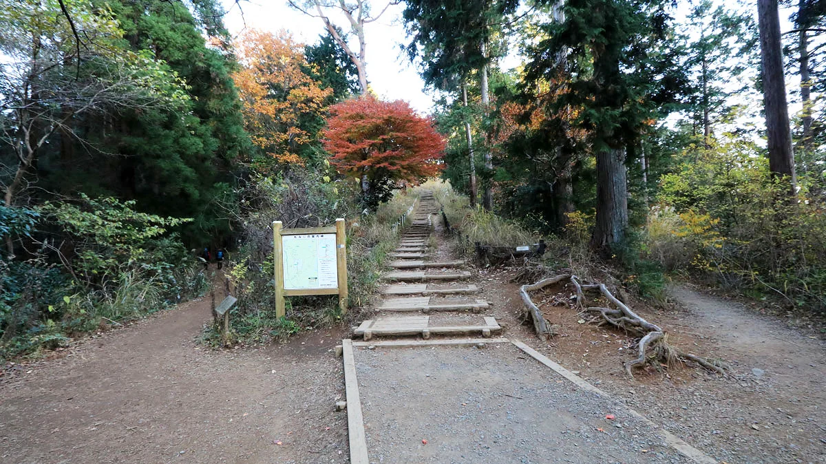 もみじ台手前の三叉路