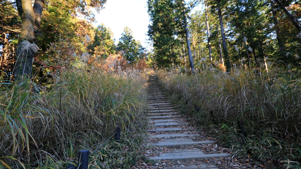 もみじ台への階段