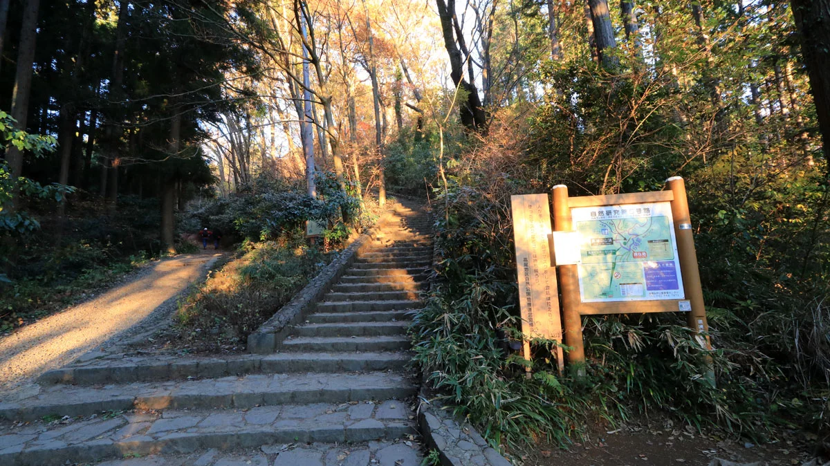 高尾山手前の三叉路