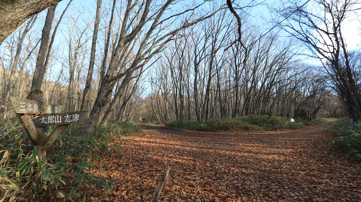 太郎山・志津峠方面の分岐