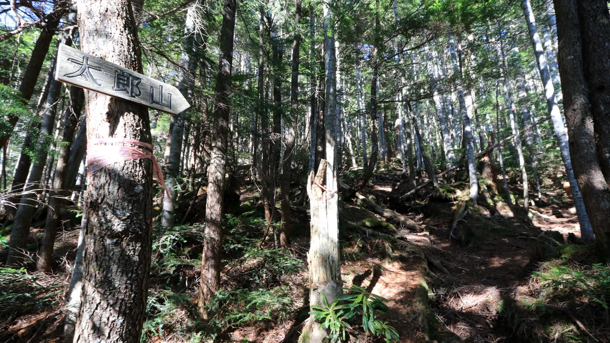 「太郎山」と書かれた道標
